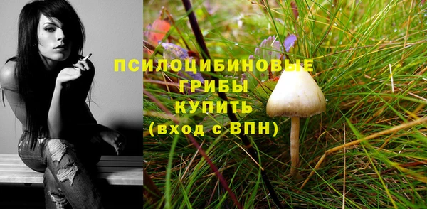 амфетамин Елизово