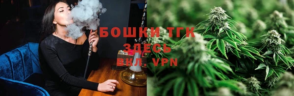 не бодяженный Ельня