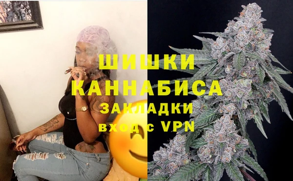 не бодяженный Ельня
