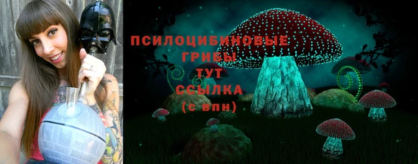 не бодяженный Ельня