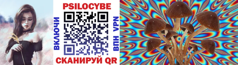 Купить где  Гаджиево  Галлюциногенные грибы мицелий 